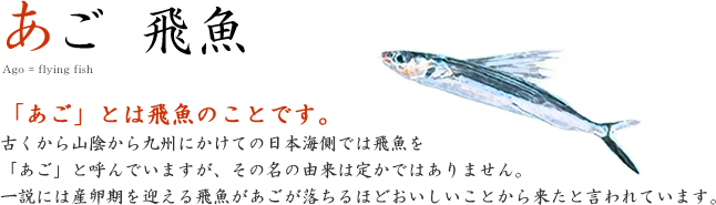 「あご」とは飛魚のことです。古くから山陰から九州にかけての日本海側では飛魚を「あご」と呼んでいますが、その名の由来は定かではありません。一説には産卵期を迎える飛魚があごが落ちるほどおいしいことから来たと言われています。